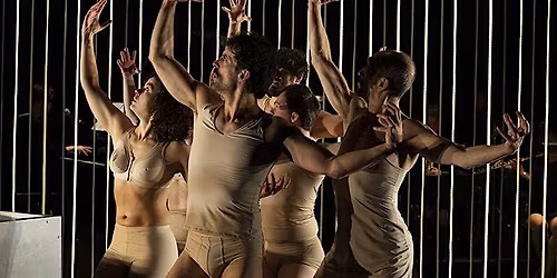 EL FEST\u00cdN DE LOS CUERPOS - DANZA - TEATRO - Festival \u00d3rbita Danza