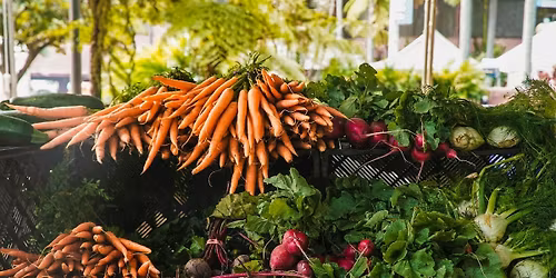 Senior Produce Day w\/ ASAS Health