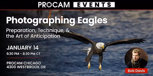 Photographing Eagles: Preparation, Technique, and the Art of Anticipation