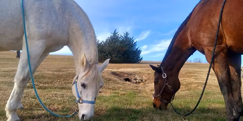 Women\u2019s Group: Healing with Horses