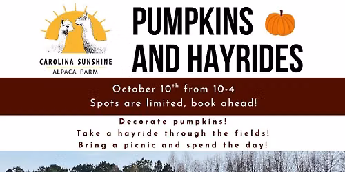 Alpacas, Pumpkins and Hayrides