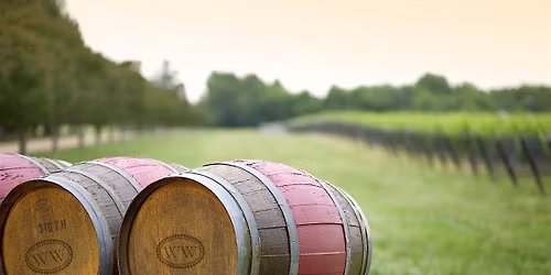 Sip, Savor and Support King of Glory Preschool at the Williamsburg Winery
