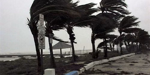 Florida Talks with Florida Humanities: "Hurricane!"