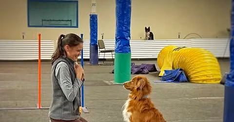 Kelsey Kirkpatrick Agility Seminars