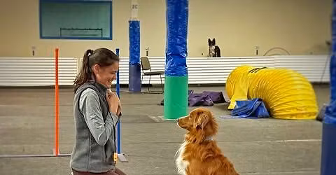 Kelsey Kirkpatrick Agility Seminars
