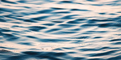 Fascial Flow\u00ae workshop