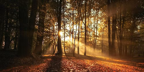 SAMHAIN MANIFESTATION DAY RETREAT