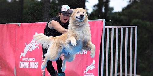 CCKC and SSKC North American Diving Dogs Event