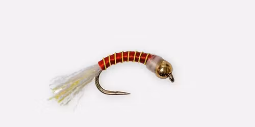 Open Fly Tying Session