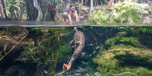 Aquarium Career Exploration Day