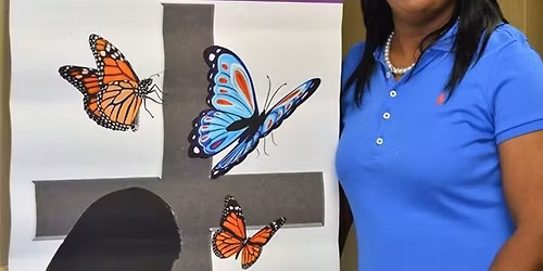 Toy Giveaway to the Community