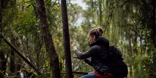 Fiordland Tamatea Adventure - June 2026