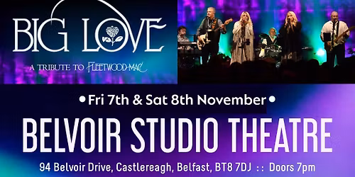 Big Love: A Tribute to Fleetwood Mac