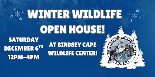 Winter Wildlife Open House