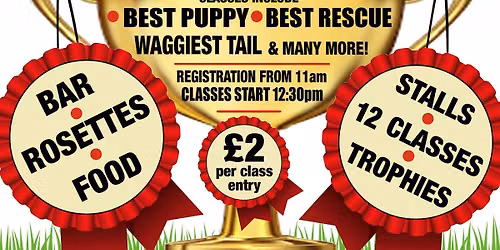 Wheaton Aston Fun Dog Show