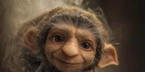 Die H\u00fcter unseres Zuhauses \u2013 Von Kobolden, Hausgeister & Platzwesen