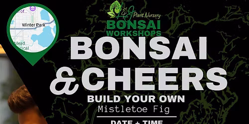 Bonsai & Cheers -Forward\/Slash - L&J Nursery - Mistletoe Fig