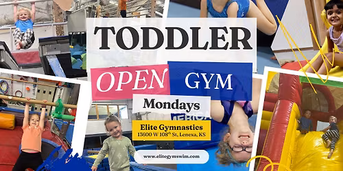 Toddler Open Gym