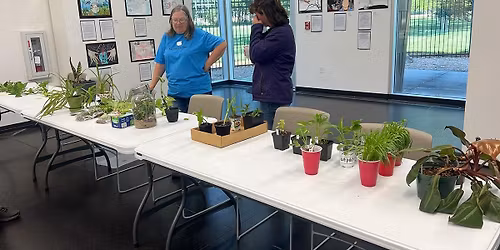 El Dorado Plant Swap