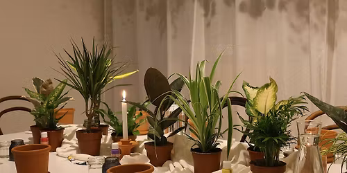 Paint & Plant Workshop: Mediterranean Vibes