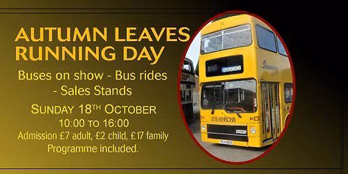 Autumn Leaves Running Day