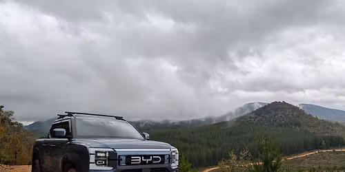 Canberra Shark Drive