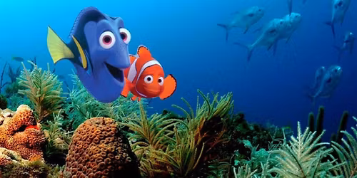 FINDING NEMO, 28 - 30 Oct  2025, AGES 5-8 (\u00a3160)