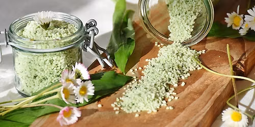 Atelier de cuisine sauvage : \u00e9t\u00e9 : \u00ab fra\u00eecheur et soleil \u00bb