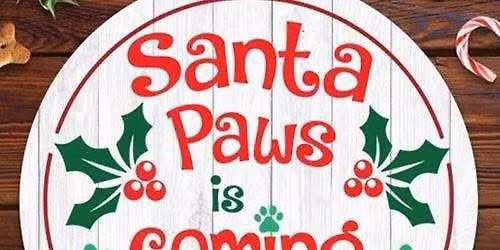 Santa Paws \ud83d\udc36\ud83d\udc36