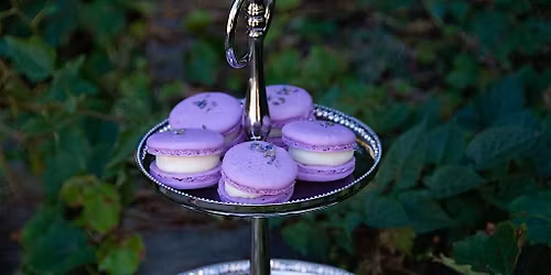 Annies Signature Sweets KIDS FRENCH BAKING CAMP DEC 30TH & 31ST-AGES 10-17