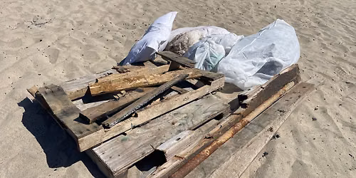 Beach, Please!