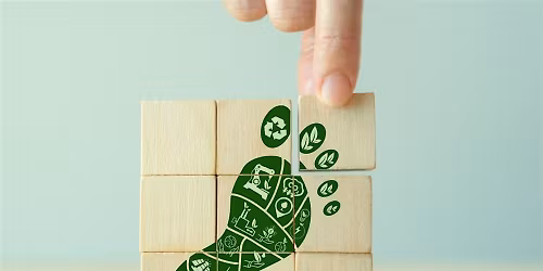 Carbon Essentials