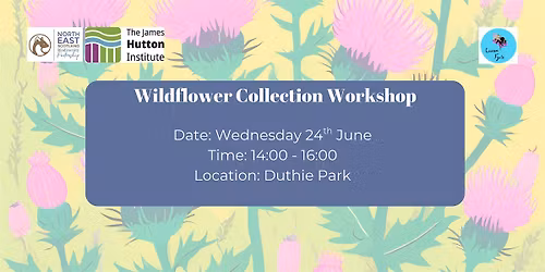 Wildflower Workshop at Duthie Park - Aberdeen Insect Week