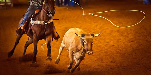 Stockyards Championship Rodeo