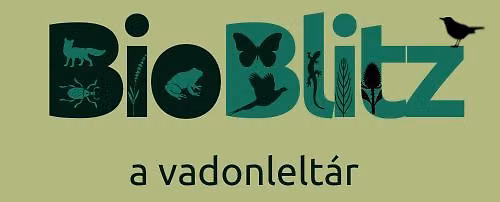 BioBlitz a T\u00e1borhegyi parkban!