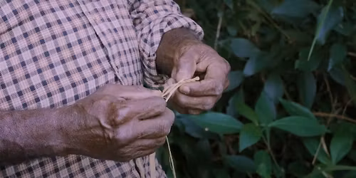 First Nations Science with Queensland Museum  \u2014  Online PD