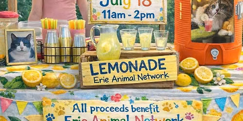 Sky's 5th Annual Lemonade Stand for EAN