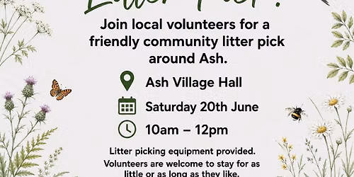 Ash Village Community Litter Pick!
