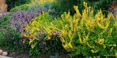 Plant Trials Symposium 