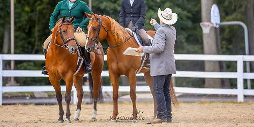Spring Grove Horse Show\u2019s Open English & Western Performance Show