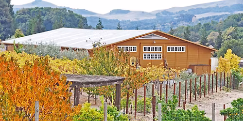 Grape vine wreath making