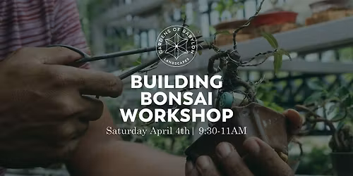 Building Bonsai Workshop