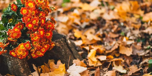 Garden With Confidence: Preparing for Winter & Winter Containers