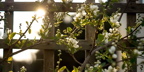 Rule of Life Refresh Retreat