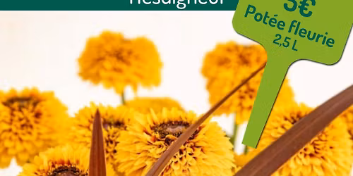 F\u00eate du v\u00e9g\u00e9tal March\u00e9 aux fleurs