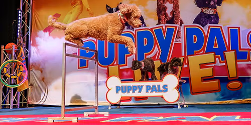 Puppy Pals Live 