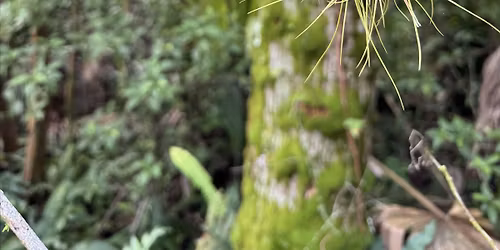 Copy of "Off The Beaten Path" Hike