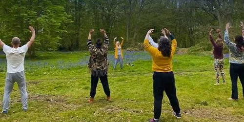 Wild Workouts: Qigong (First Tuesdays: May - September)