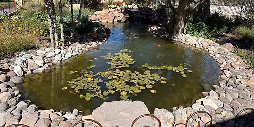 Nature Journaling at Sierra Vista Growers