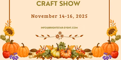 Shop Local Craft Show @ Joliet Mall